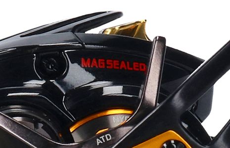 daiwa morethan pe tw