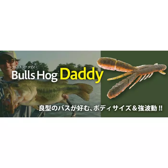BOTTOMUP Bulls Hog Daddy