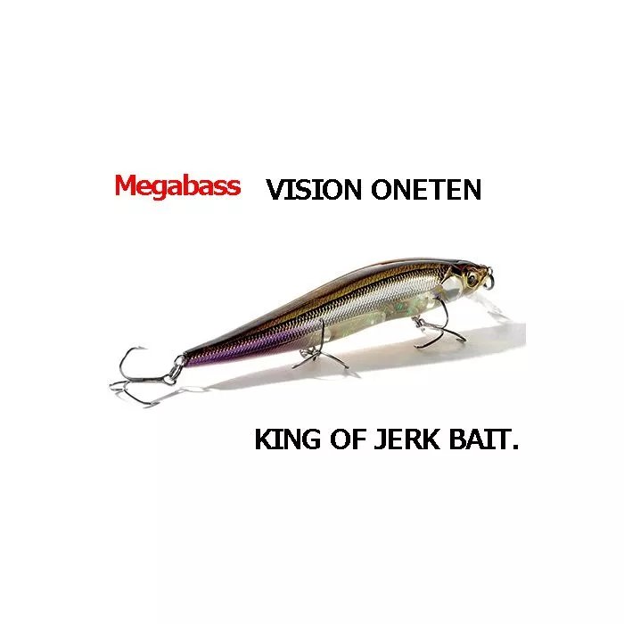 Megabass Vision 110 Oneten Regular Slow Floating Lure M RB