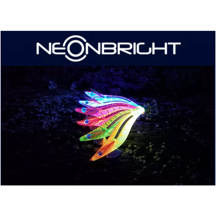 YAMASHITA EGI OH LIVE Neon bright 3.0