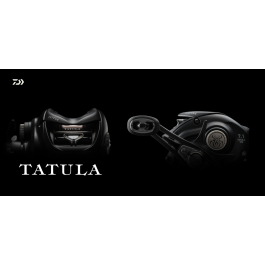 Daiwa 24 Tatula TW 100 Right Handle 00630160 From Japan | eBay