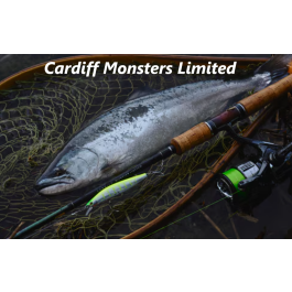 ◇ SHIMANO CARDIFF Monster Limited DP83ML シマノ トラウトロッド