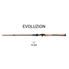 MEGABASS DESTROYER EVOLUZION MX40 F6-66ti