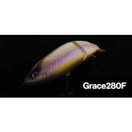 Galápagos Grace280F
