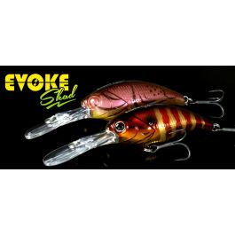 Shad type Crankbait