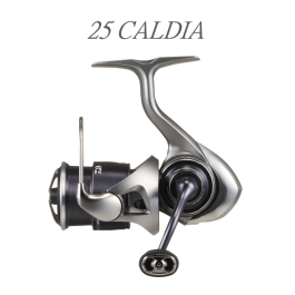 Daiwa 22 Caldia SW 5000-CXH