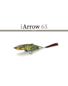IMAKATSU iArrow 65 F