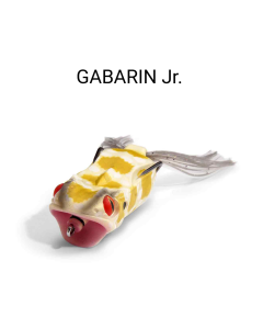 MEGABASS GABARIN Jr.