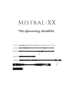 TRANSCENDENCE Mistral-XX