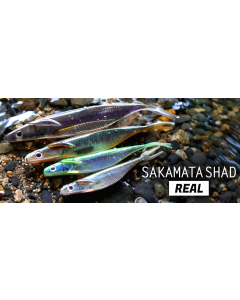 DEPS SAKAMATASHAD REAL 7inch