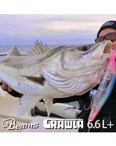 Fishman Beams CRAWLA6.6L+