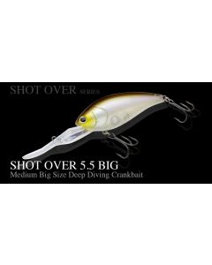 Nories SHOT OVER 5.5 BIG