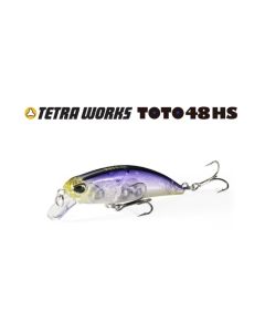 DUO TETRA WORKS TOTO 48HS