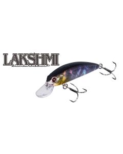 O.S.P LAKSHMI 55SP