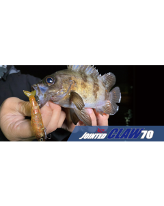 GAN CRAFT JOINTED CLAW 70 S SW