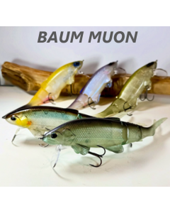 BAUM MUON