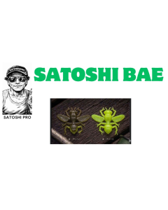LEAPS SATOSHI BAE