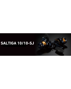 25 DAIWA SALTIGA 10/10-SJ