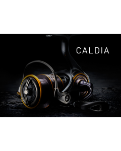 SALE !! DAIWA 21 CALDIA LT2500