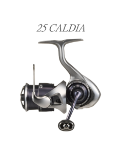 DAIWA 25 CALDIA