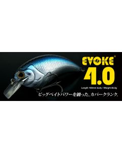 DEPS EVOKE 4.0