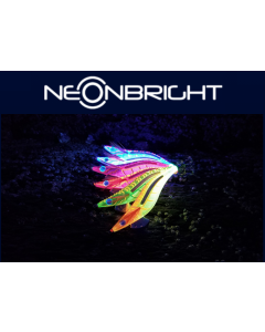 YAMASHITA EGI OH LIVE Neon bright 2.5