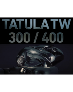 DAIWA 21 TATULA TW 300/400